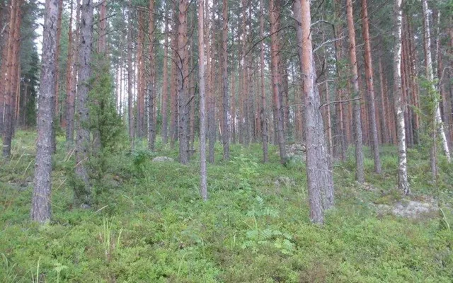 Земельный участок в Савонлинна