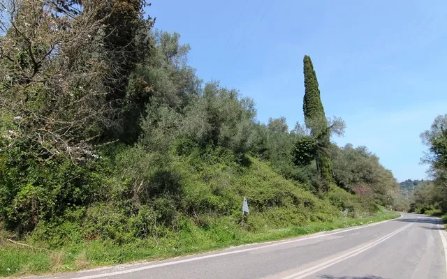 Земельный участок в Corfu