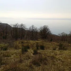 Земельный участок в Кульяче, фото 2