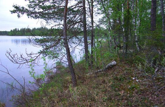 Земельный участок в Руоколахти