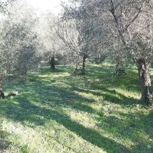 Земельный участок в Corfu, фото 4