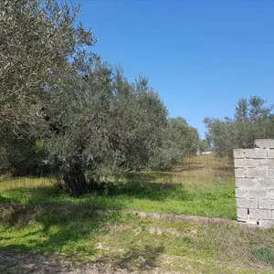 Земельный участок в Ситониа, фото 3