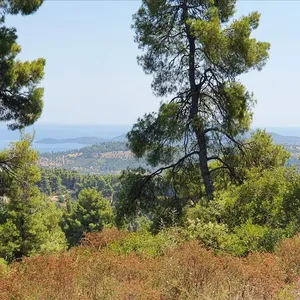 Земельный участок в Kassandra Municipality, фото 2