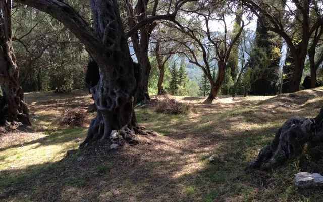 Земельный участок в Corfu