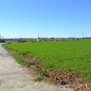Земельный участок в Kassandra Municipality, фото 5
