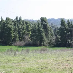 Земельный участок в Kassandra Municipality, фото 4