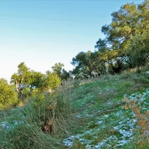 Земельный участок в Corfu, фото 3