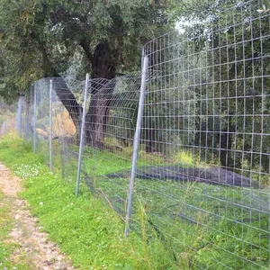 Земельный участок в Corfu, фото 4