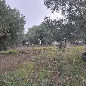 Земельный участок в Corfu, фото 3