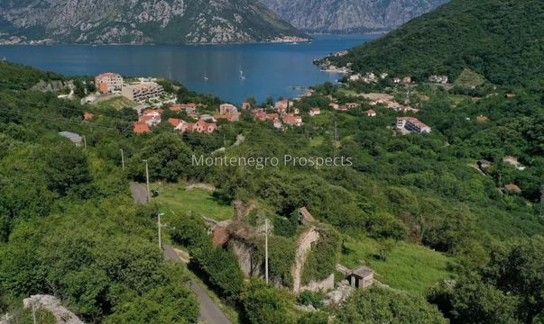 Земельный участок в Моринь