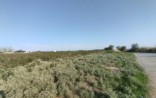 Земельный участок в Επανομή