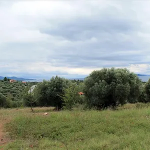 Земельный участок в Ситониа, фото 2