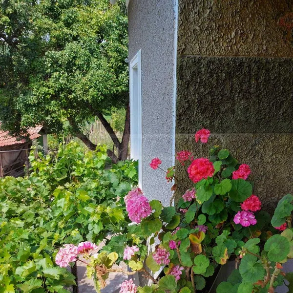 Дом в Стара Загора, фото 1