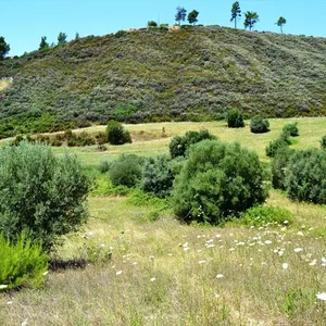 Земельный участок в Kassandra Municipality, фото 3