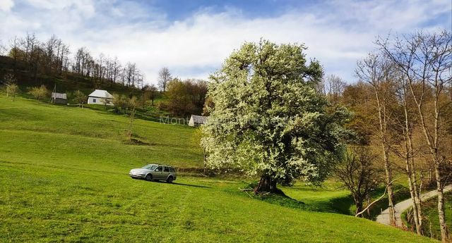 Земельный участок в Мойковац