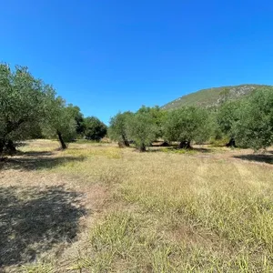 Земельный участок в Corfu, фото 5