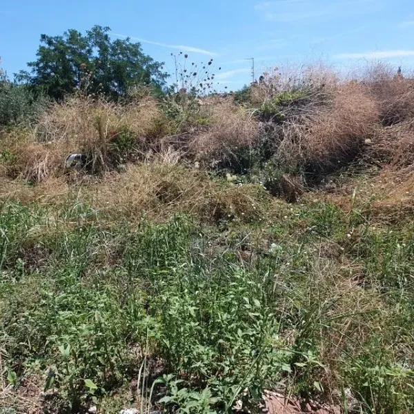 Земельный участок в Kassandra Municipality, фото 1