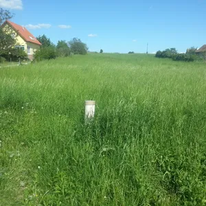 Земельный участок в Кестхей, фото 4