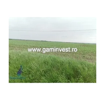 Земельный участок в Орадя