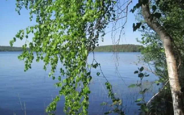 Земельный участок в Сулкава