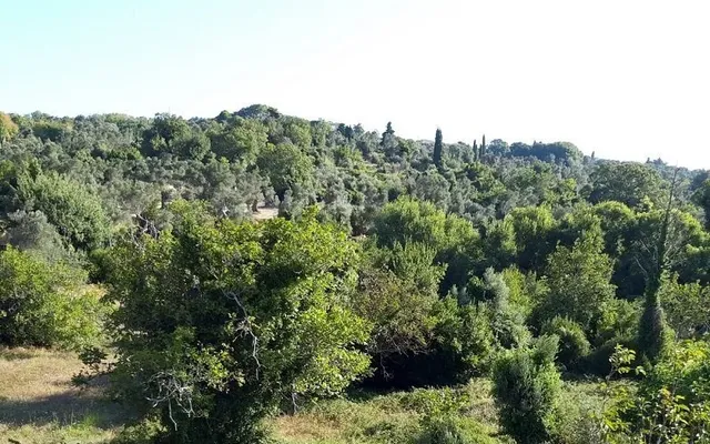 Земельный участок в Эвбея