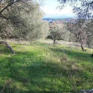 Земельный участок в Corfu, фото 4