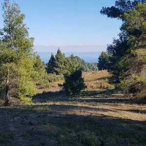Земельный участок в Kassandra Municipality, фото 5