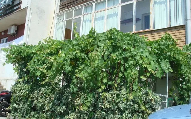 Квартира в Будва