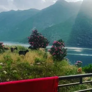 Квартира в Рисан, фото 3