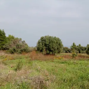 Земельный участок в Kassandra Municipality, фото 5
