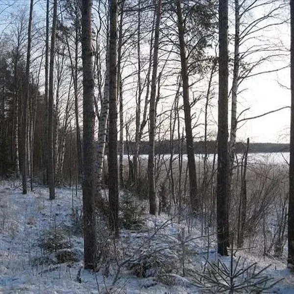 Земельный участок в Руоколахти, фото 1