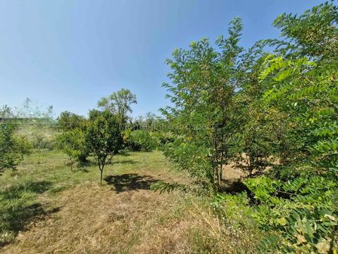 Земельный участок в Улцинь