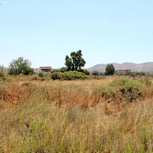 Земельный участок в Anavissos Municipal Unit, фото 3