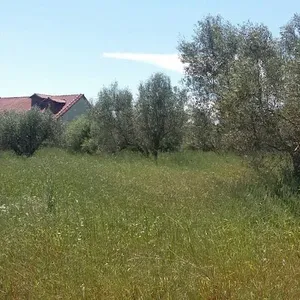 Земельный участок в Халкидики, фото 3