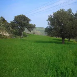 Земельный участок в Municipality of Gortys, фото 5