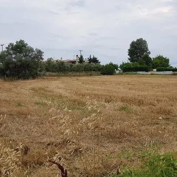 Земельный участок в Kassandra Municipality, фото 1