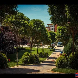 Студия в Елените, фото 2