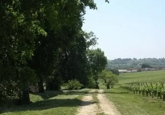 Замок в Бордо