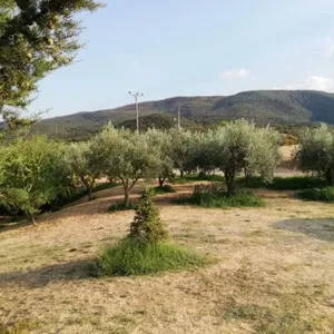 Отдельный дом в Аполлония, фото 3