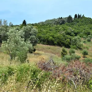 Земельный участок в Corfu, фото 3
