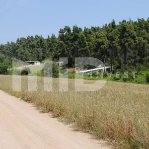 Земельный участок в Каллифея (Кассандра), фото 5