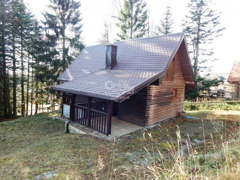 Коттедж в Хоче