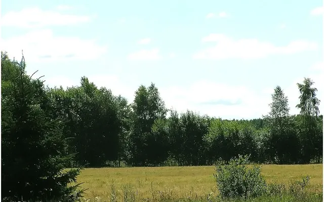 Земельный участок в Сыйтме