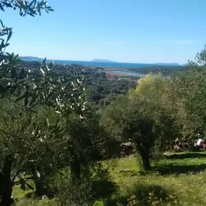 Земельный участок в Corfu, фото 5