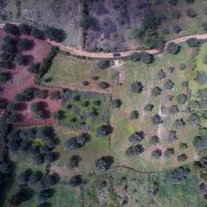 Земельный участок в Sipiada, фото 4