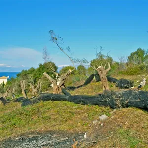 Земельный участок в Corfu, фото 3