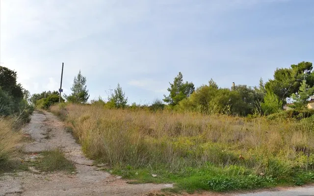 Земельный участок в Рафина