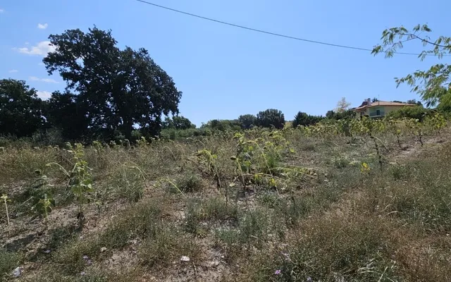 Земельный участок в Kassandra Municipality