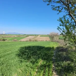 Земельный участок в Микра, фото 3