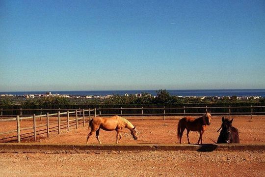 Усадьба в Калафель